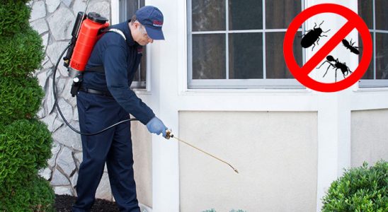 Düzköy Bit İlaçlama böcek ilaçlama ve haşere kontrolü — ilaclama-tr.com